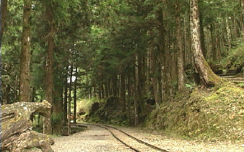 太平山蹦蹦車的前身為林務局羅東林區管理處轄下的太平山林場運材鐵道，這條鐵道最早完成於1924年，行駛於太平山莊至茂興段約2.5公里的鐵道。