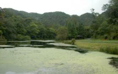 福山植物園景觀貼近原始自然。