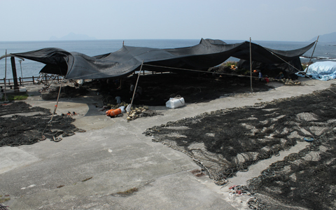 漁業休息的夏季，漁民在石城漁港旁的空地上搭起棚架修補漁網的景象。